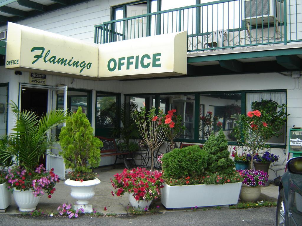 Flamingo Motel 펜틱턴 외부 사진